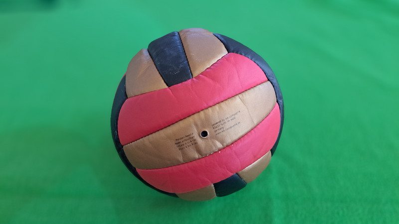 Auf dem Bild ist ein Volleyball zu sehen. Der Ball hat farbige Streifen in Pink, Beige und Dunkelblau. Er liegt auf einem grünen Untergrund.